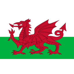  威尔士女足